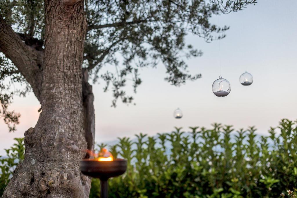 Casale Santa Maria Country House Mosciano SantʼAngelo Zewnętrze zdjęcie